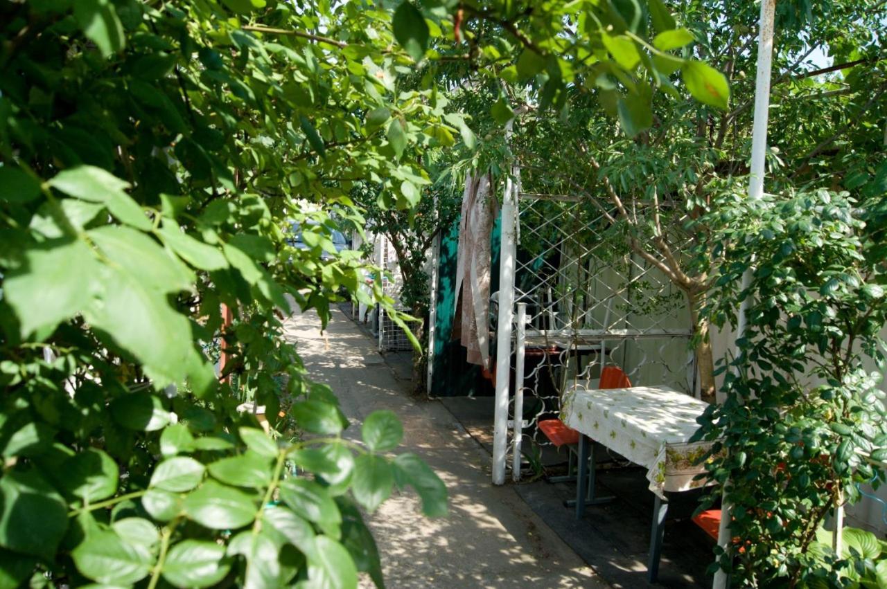Sergey Rooms 扎托卡 外观 照片